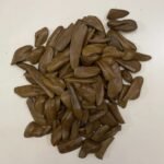 ماروكي بيور